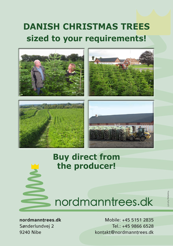 Nordmanntrees  A5 Flyer